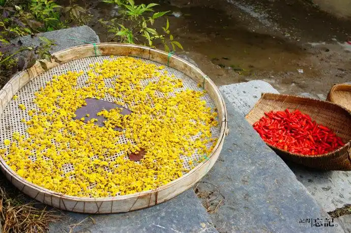 桥上晾晒的菊花和辣椒