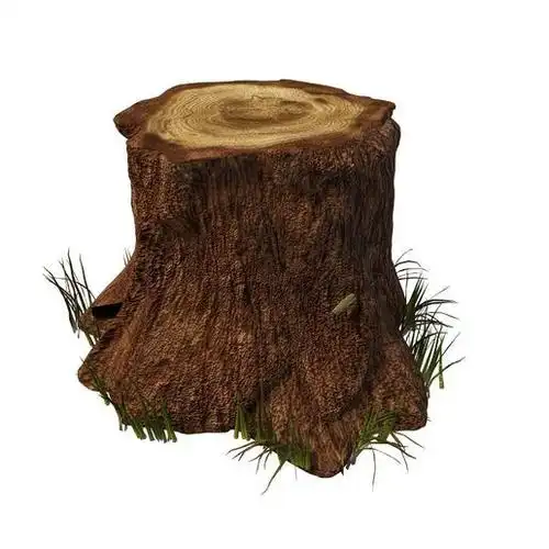 伐木树桩,大树桩