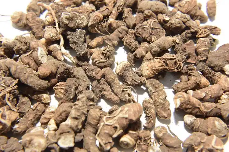 重楼长什么样子图片