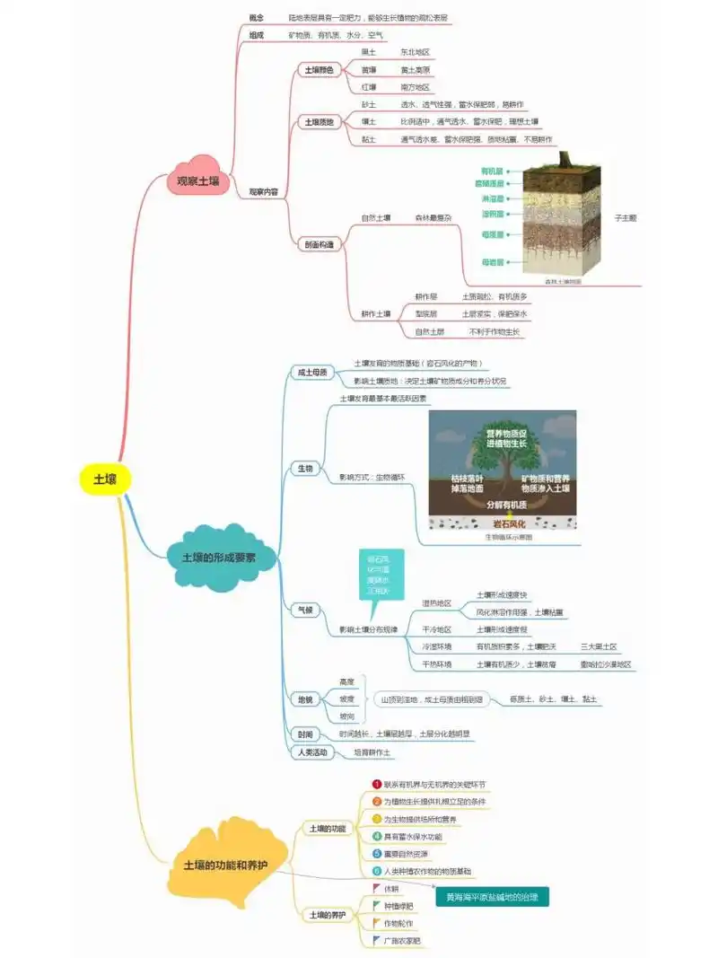 土壤:思维导图 新教材2019版人教版初中及高中地理教学必修一全套思维