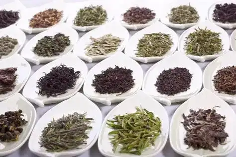 各类茶叶功效大全 学会健康饮茶