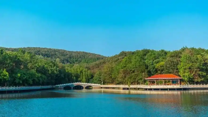 中国旅游日漫游春野肆意九真山