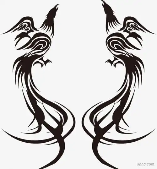 黑色凤凰孔雀简笔画