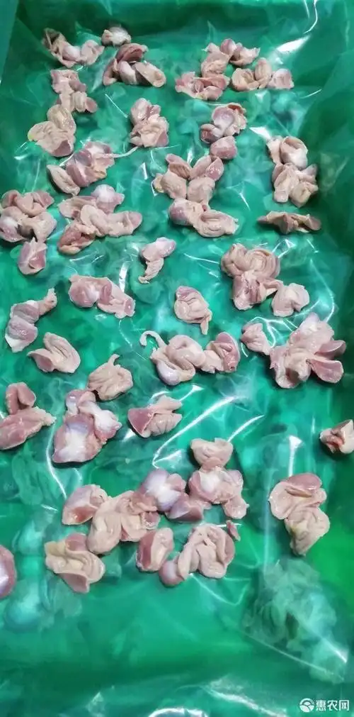 单冻公鸡胗去肚10公斤/箱