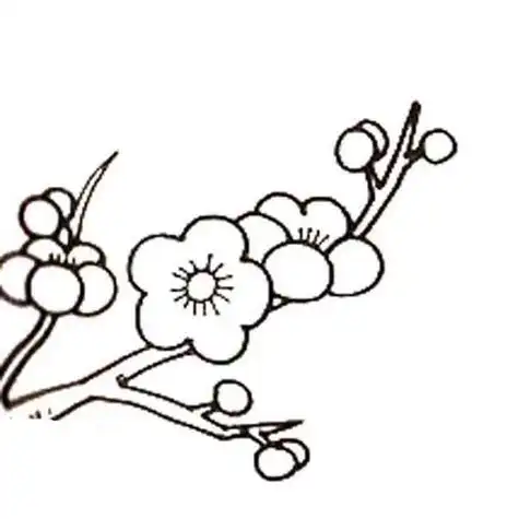 简笔画梅花雪景图