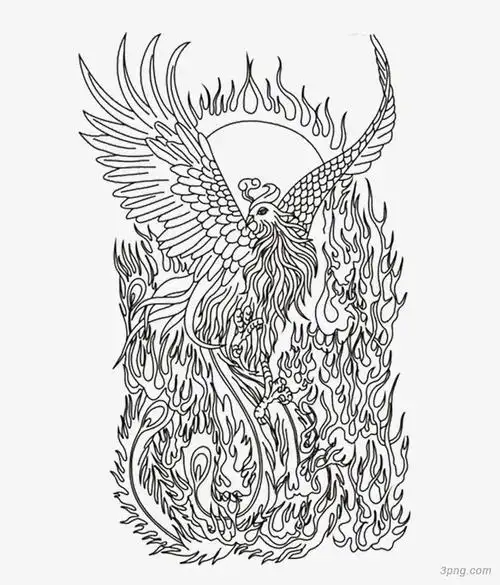 黑色凤凰素描png素材透明免抠图片其他元素