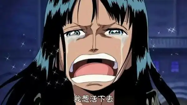 泪点低慎入!《海贼王》草帽海贼团触动人心的十句话