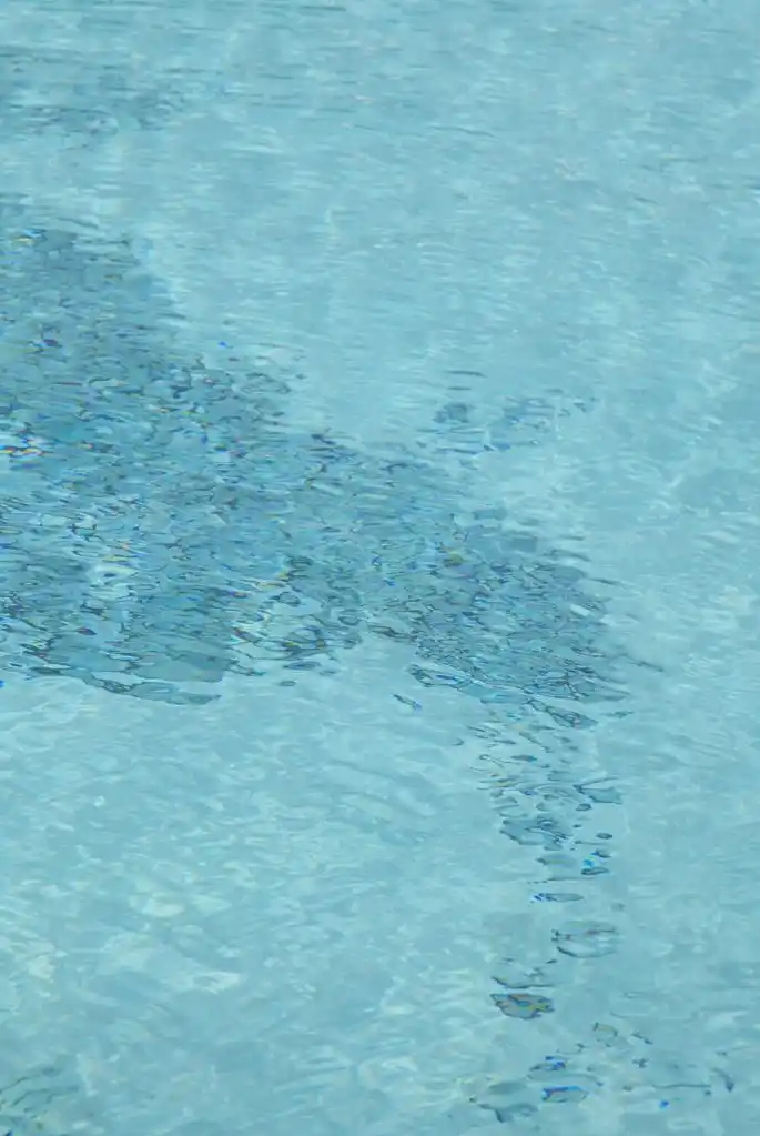 水表面,背景为蓝色或蓝绿色的海洋,波为浮上水面