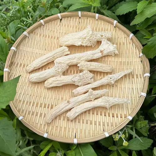 长裙竹荪全杆肉厚竹荪宜宾长宁特产无硫无添加长裙竹荪100g