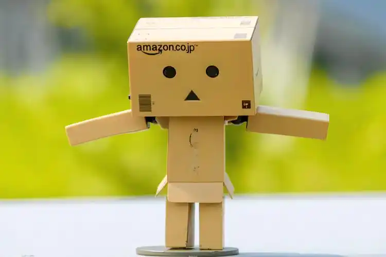 每日一拍#纸箱人阿楞