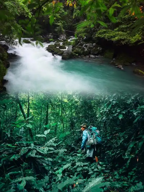 秘境贵州再进茂兰原始森林
