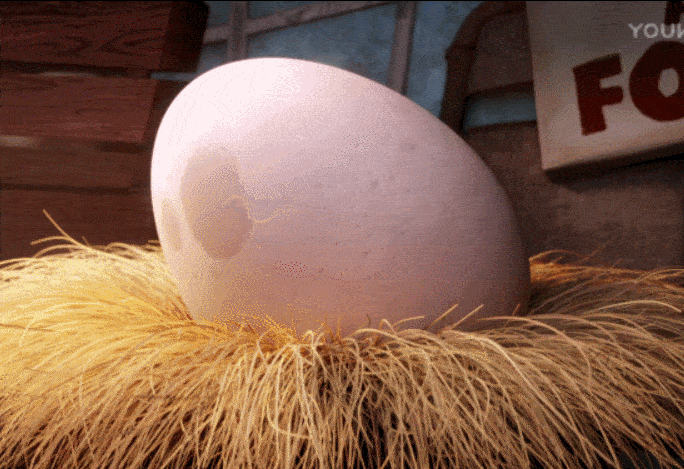 科技博主变身鸵鸟奶爸厦门95后程序员历时5个月宅家孵蛋引百万围观