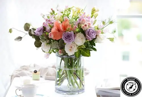 突然想学插花,不知道那种放客厅的玻璃花瓶多少钱,有没有推荐的?