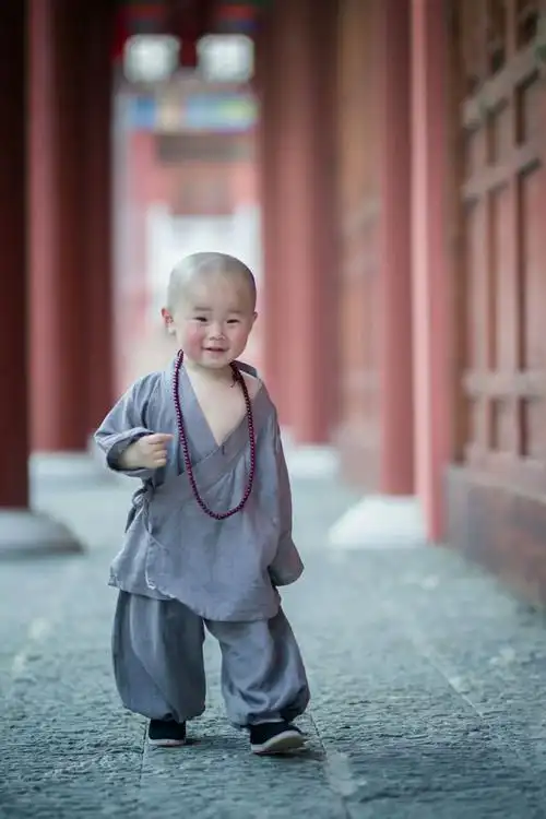 小和尚的世界 好好