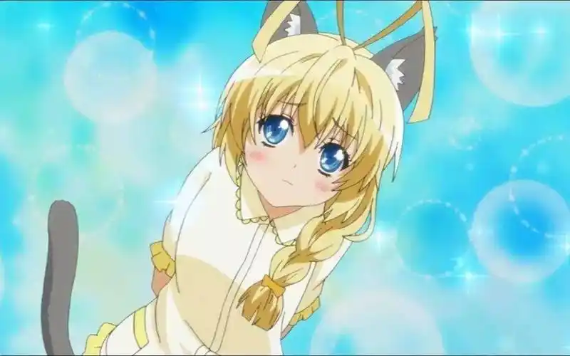 里的立花萤……说好的疯子啦当然是银时的女装的小卷子無才のぶー伪娘