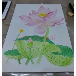 蒙玛特(mont marte)水彩纸180g 美术8k4k画纸儿童水彩颜料画画加厚