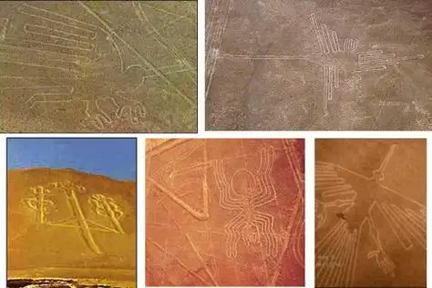 nazca lines