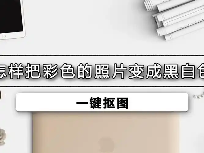 怎样把彩色的照片变成黑白色