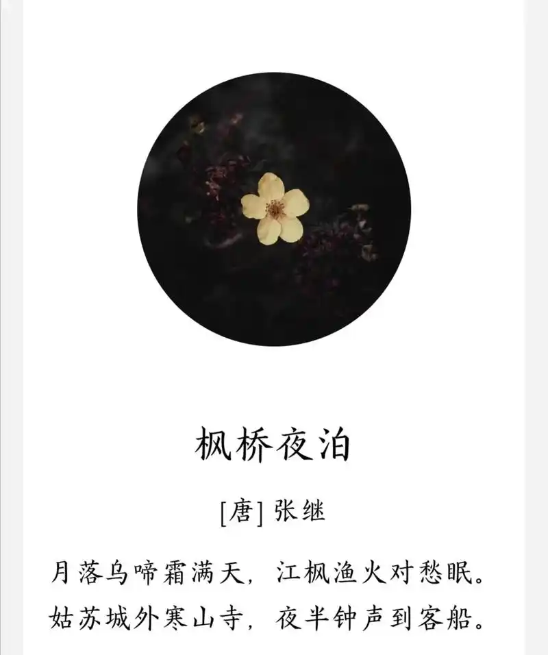 古诗词  65#枫桥夜泊张继  - 抖音