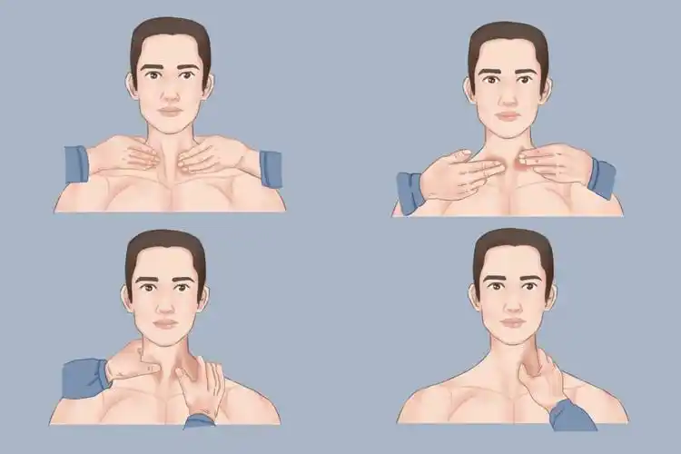 甲状腺触诊方法图