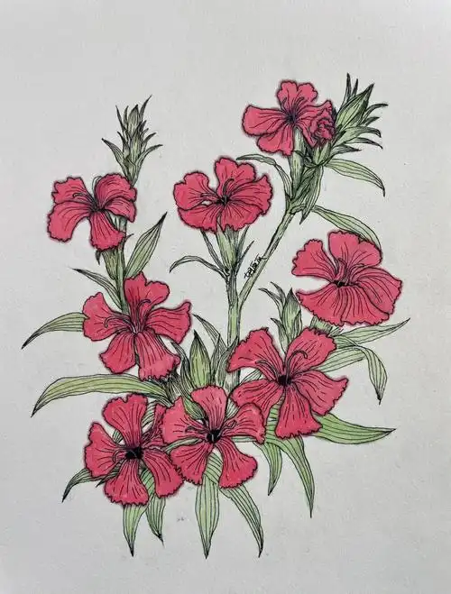 绘画  #我的绘画成长史  #笔记灵感  #纸张上的夏天  #线描  #手绘