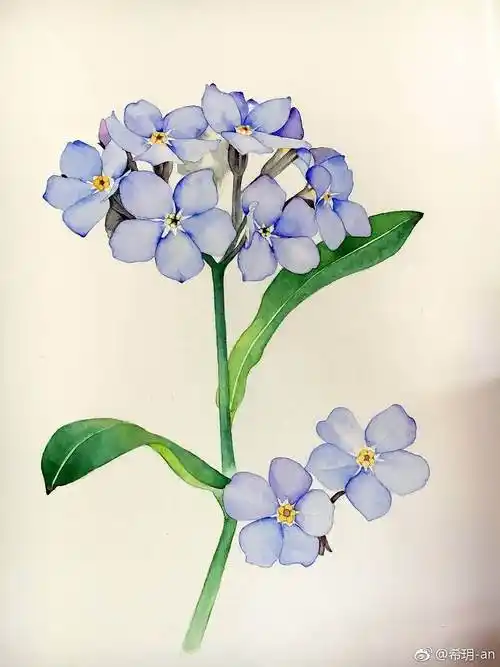 花水彩画简单花水彩画简单入门