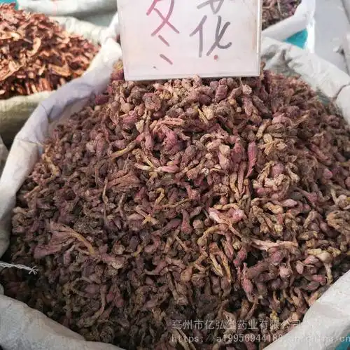 【看灯花,艾冬花,九九花,款冬花哪里能买到 价格