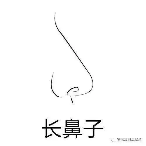 鼻子大的女生的简笔画