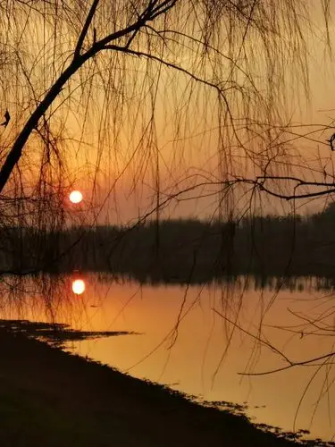 最爱日落黄昏时