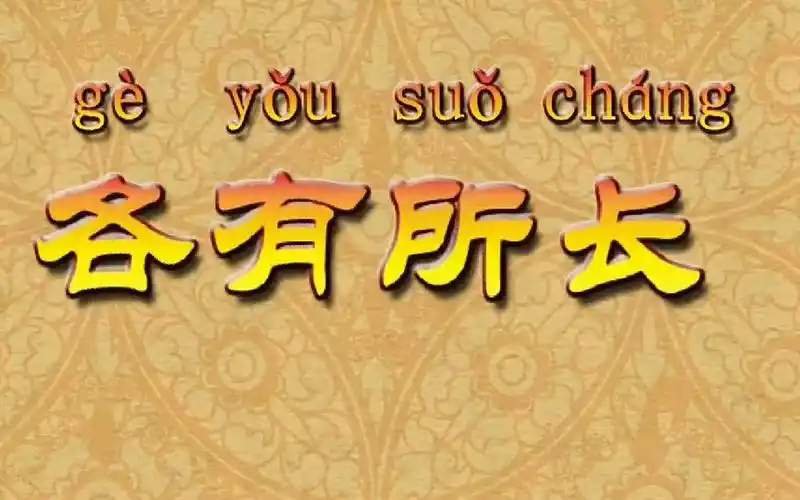 佟丽丽成语故事各有所长