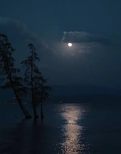 有关月亮的绝美背景图水萧白白摄