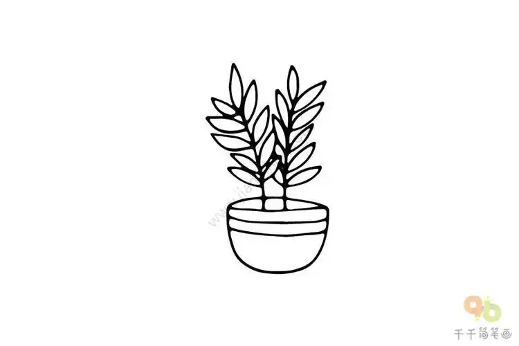 玉树花盆景简笔画图片