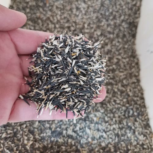 万寿菊种子南非芙蓉蜂窝金菊花海花卉多年生四季家庭园艺种子