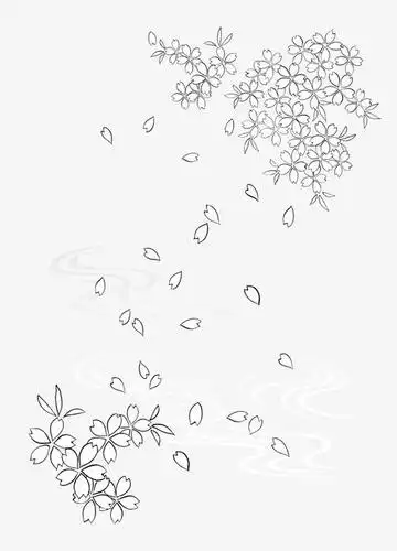 樱花飘落图的简笔画