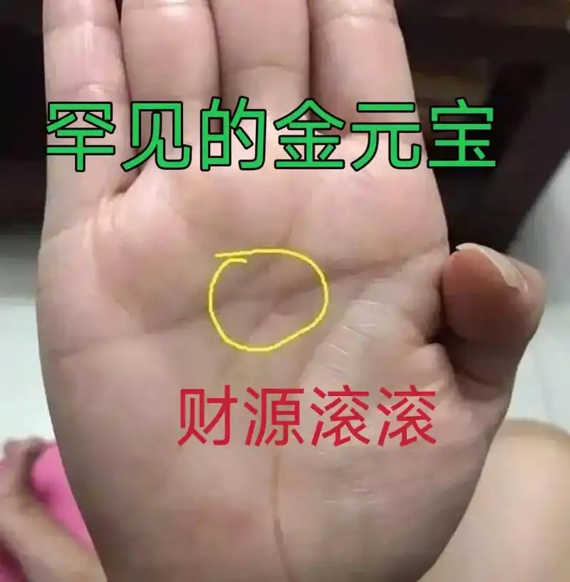 罕见的金元宝,你有吗.#掌纹的秘密 #命理八字 #国学文化 - 抖音