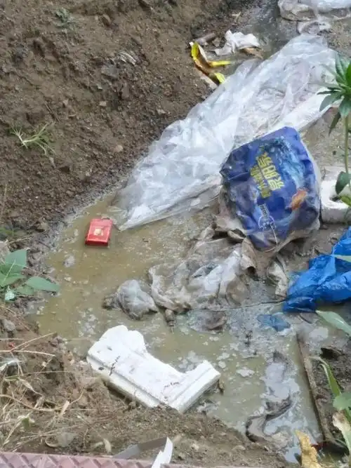 恶心死阜新1小区大粪坑绝了