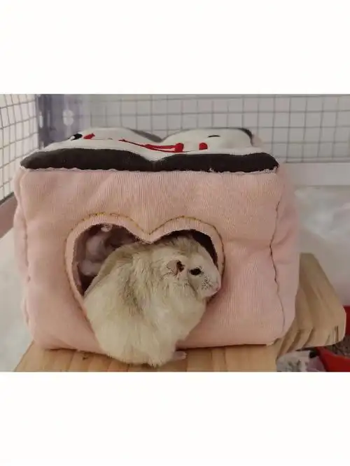 入秋了,用旧短袖给崽子缝的小窝,希望不会被咬的稀碎#手工  #仓鼠