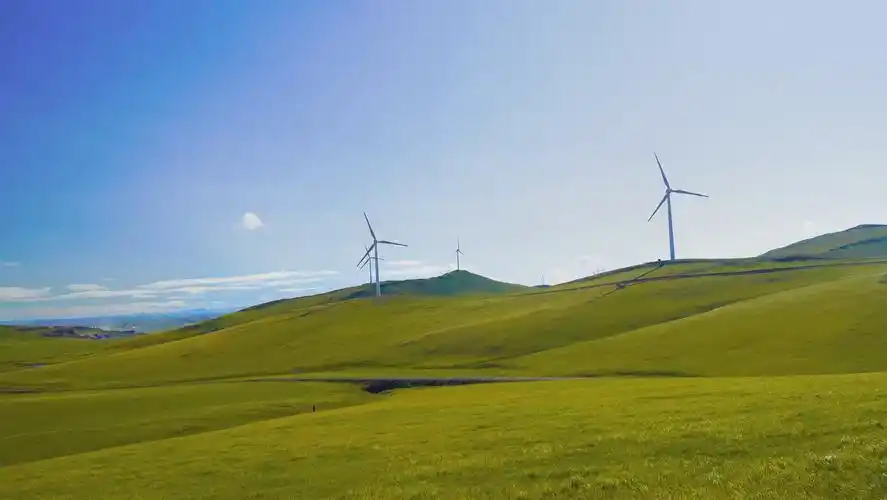 大草原的绿色治愈系风景