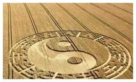 甲阳木,其性仁慈,为十干之首;己为阴土,其性宁静,有滋生万物之德,所以