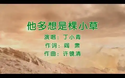 他多想是棵小草 - 丁小青