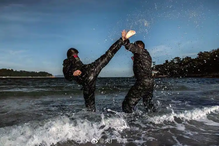 超帅壁纸!直击武警特战尖兵训练场 - 中国军网