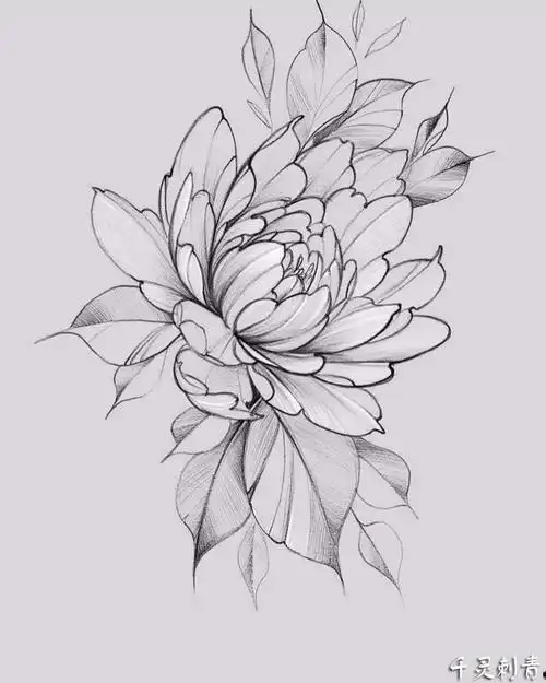 文化_绘画个性的黑色点刺简单线条花朵纹身手稿一组超级好看的素晃破