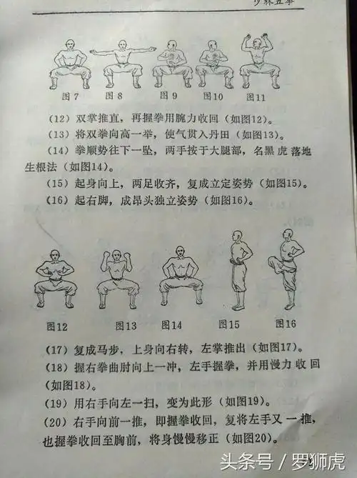 少林五拳之龙拳拳谱