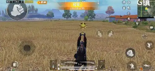 更新后吃鸡可以抱奖杯狂欢,为了抱奖杯,本姑凉和睡_和平精英_九游论坛