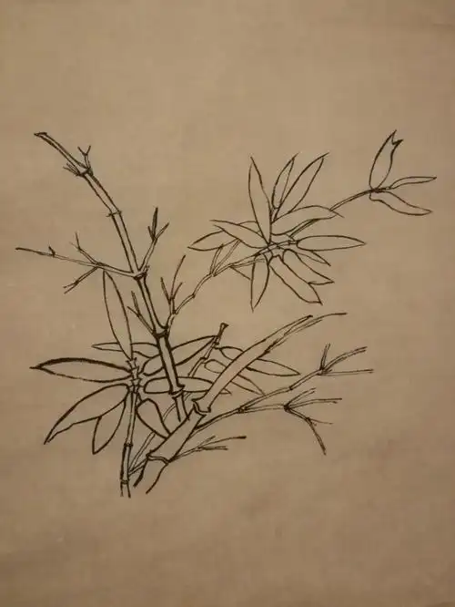 工笔白描竹
