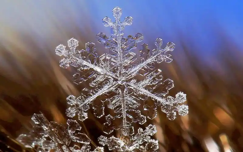 冬天亮晶晶的唯美雪花图片桌面壁纸