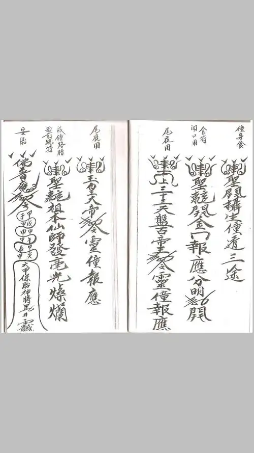 太上魂符师降童身符二册