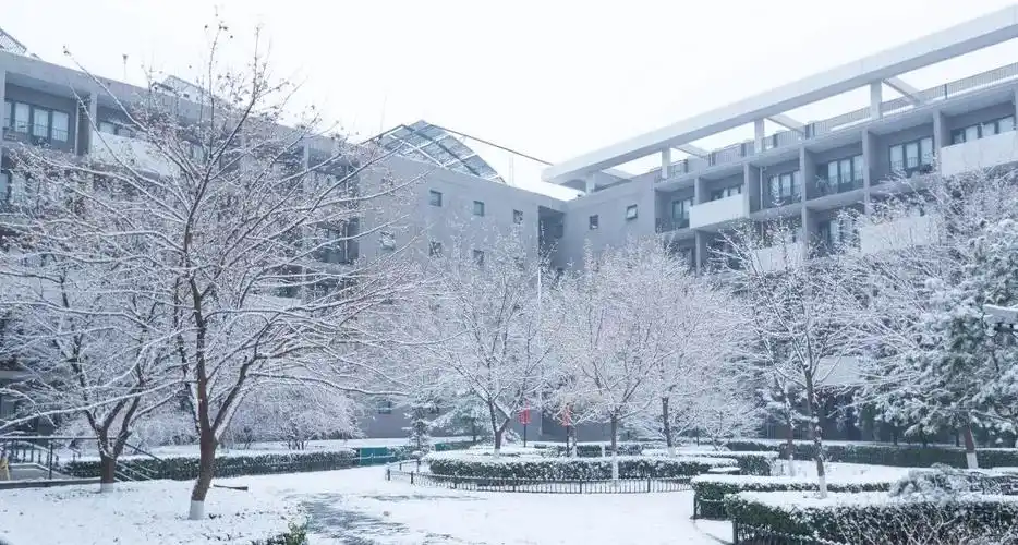 校园拾趣 | 中戏·初雪_中央戏剧学院_零二七艺考