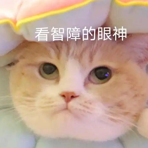 看智障的眼神可爱萌宠表情包