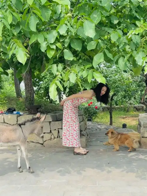 满满的夏日氛围感,绿叶红花搭配上夏天热烈的阳光,晚晚看起来明媚又